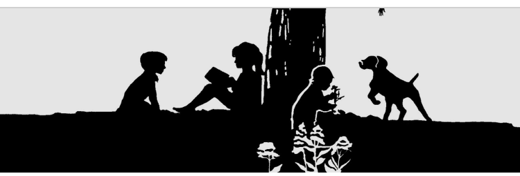 *UPCOMING* Hamlin Memorial Library- Smethport Pennsylvania 2/21/26